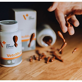 Vet Expert Sản phẩm tăng cường miễn dịch cho chó mèo Veto Mune