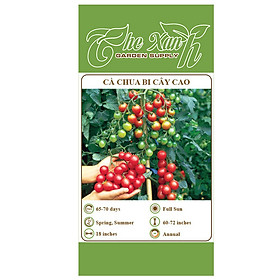 Mua Bộ 1 gói Hạt giống cà chua bi đỏ cây cao - The Xanh