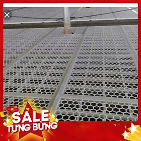 Sàn nhựa sàn nuôi vịt ngan