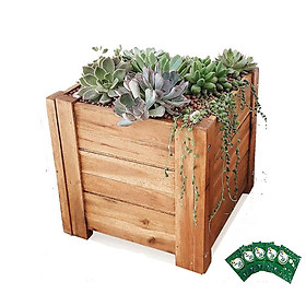 Chậu gỗ Vuông GREENHOME- Dễ lắp đặt, chịu nước tốt-D40xR40xC40cm-TẶNG KÈM 5 GÓI DƯỠNG HOA TƯƠI LÂU