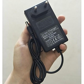 Mua Sạc pin 21V