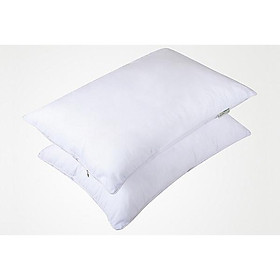 Mua Cặp ruột gối ép hơi (2 chiếc)