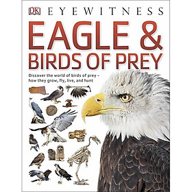 [Download Sách] Eyewitness Eagle and Birds of Prey