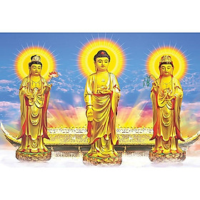 Mua Tranh Tam Thánh  tranh gỗ treo tường  tranh phật giáo tam thánh