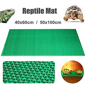 reptile cage liners