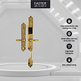 Mua Khóa đại sảnh FS009 AC FASTER mở bằng mật mã  vân tay  thẻ từ