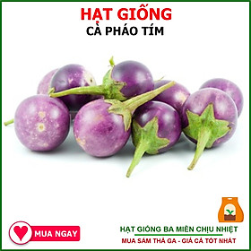 Hạt Giống Cà Pháo Tím F1 Quả Tròn Gói 1gram Sen Vàng