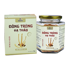 Đông trùng hạ thảo KOCHI cao cấp Hộp 20g