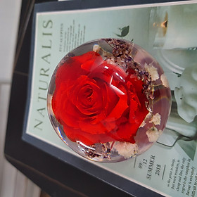 Đèn ngủ quả cầu 8cm hoa hồng bất tử trong suốt resin epoxy quà tặng cho người yêu, bạn gái, người thân rất ý nghĩa 2poxy