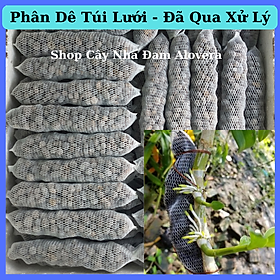 Mua Phân Dê Túi Lưới Bón Lan  Cây Cảnh Đã Qua Xử Lý ( Dài 20-21CM )