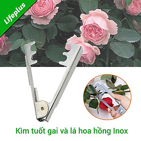 Kìm tuốt gai và lá hoa hồng tươi