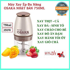 Mua Máy xay sinh tố cầm tay đa năng 750ml - Máy xay mini cho bé ăn dặm  cháo  thịt  cua  tỏi ớt