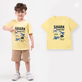 Áo cộc tay bé trai BIGFOX - MISS MEOW size đại mặc nhà mùa hè, áo phông cho bé trai chất cotton phong cách Âu Mỹ cỡ 3-8 tuổi 10 - 26 kg QATE 01