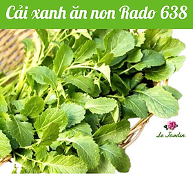 Hạt giống cải bẹ xanh ăn non Rado 638 gói 20gr - RẤT DỄ TRỒNG