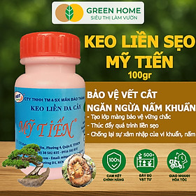 Keo Liền Sẹo Cho Cây Greenhome, Mỹ Tiến, Chai 100gr, Liền Nhanh Vết Cắt Da Cây, Chiết Cành, Tạo Dáng Bonsai, Lan, Kiểng - KEO LIỀN DA MỸ TIẾN