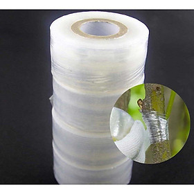 Mua Giấy Ghép Cây Tự Hủy rộng 6cm - BĂNG KEO GHÉP CÂY GIÚP BẢO VỆ MỐI GHÉP-BĂNG GHÉP CÂY  MÀNG GHÉP CÂY  DÂY QUẤN MỐI GHÉP