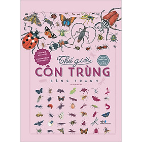 Sách Bách khoa thư cho cả nhà - Thế giới côn trùng bằng tranh