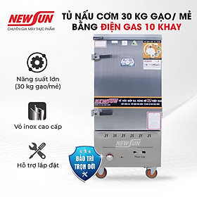 Mua Tủ Nấu Cơm 30 Kg Gạo/ Mẻ Bằng Gas 10 Khay Nhập Khẩu NEWSUN - Hàng Chính Hãng