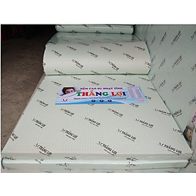 Bộ Nệm CAO SU HOẠT TÍNH THẮNG LỢI - 2 gối chính hãng