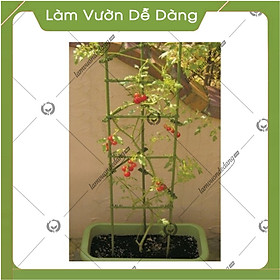 COMBO 2 KHUNG TRỒNG CÂY HÌNH TAM GIÁC làm từ ống tre thép bọc nhựa IBO và thanh liên kết Sapoto - Dùng làm khung, giàn cho hoa hồng leo, cây hoa leo