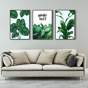 Mua Tranh bộ 03 bức lá cây