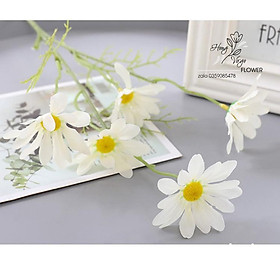 Mua Cúc Họa Mi Giả - Cúc Họa Mi Giả Trang Trí Decor Nhà Cửa Cành 5 Bông
