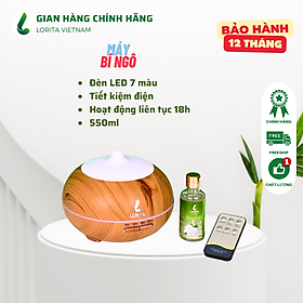 Máy xông tinh dầu mẫu mới công nghệ hiện đại mã máy DK-BN NEW - Hình Bí ngô viền trắng - Hàng nhập khẩu - chế độ phun mạnh - khuếch tán tinh dầu tron