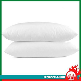 Mua Ruột Gối Nằm Ép Hơi 40X60 (2 Cái) - CH Hương Thị Miễn Phí Vận Chuyển