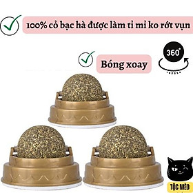 Viên cỏ mèo/Catnip dán tường- Giúp mèo thư giãn