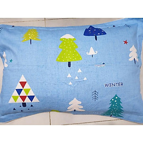 Mua Cặp Áo gối cotton 40x60/50x70