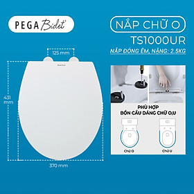 Mua Nắp Bồn Cầu Đóng Êm PEGA Bidet Chống Trầy  Dễ Lau Chùi  Gắn Được Cho Nhiều Loại Bồn Cầu Thông Dụng - Thương Hiệu Mỹ