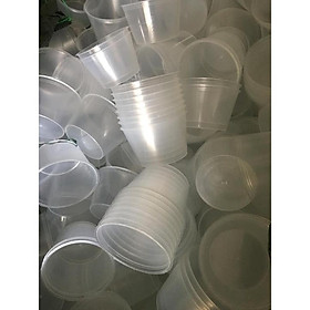 Mua Hủ bánh flan giá sỉ - Hộp đựng bánh flan giá sỉ