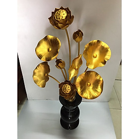 Hoa sen đồng Đài Loan