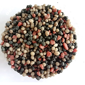 Mua  TÚI 1KG  PHÂN BÓN NPK 20-20-15+TE HÀ LAN - CHUYÊN DÙNG CHO CÂY KIỂNG  RAU MÀU ....