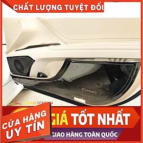 Ốp Tapli Cánh Cửa Xe Camry 2019 - 2021, chất liệu TiTan Cao Cấp, 1 bộ 4 cánh