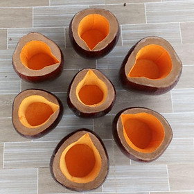 Mua Vỏ bình trà cỡ lớn (khoảng 800-900ml)