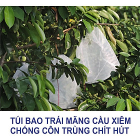 Mua Bộ 200 Túi Bao Mãng Cầu  Bưởi dạng lưới