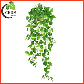 Mua Lá giả  chùm lá dây leo cát đằng trang trí nhà cửa  cửa hàng  văn phòng  lớp học