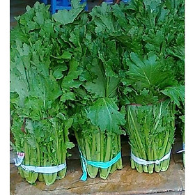 Mua Hạt giống rau cải mèo Hà Giang - gói 100gram