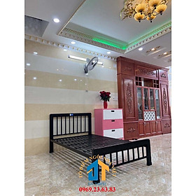 Mua Giường sắt MN01 ĐẠI THÀNH 1M2X2M