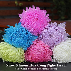 Dung Dịch Nhuộm Hoa Cắt Cành Đổi Màu (Combo 4 chai) theo Công Nghệ Israel giúp hoa nhuộm đổi màu theo ý muốn – The Color Sodium for Fresh Flowers