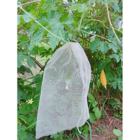 Mua 50 cái TÚI BỌC MƯỚP  KHỔ QUA  XOÀI  Bơ 034 LOẠI TỐT 20* 35