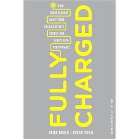 Fully Charged: How Great Leaders Boost Their Organizations Energy and Ignite High Performance