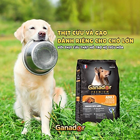 [20KG] Thức ăn cho chó trưởng thành Ganador vị thịt cừu & gạo - Ganador Adult Lamb & Rice - Thức ăn hạt cho Chó