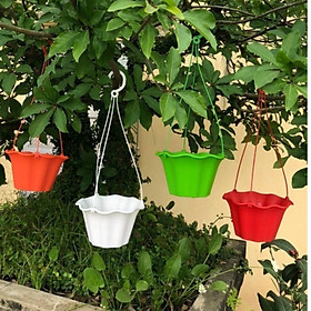 (Giá sỉ) Chậu treo xinh siêu bền vành bèo có khay trữ nước và thoát nước, chậu treo trồng cây, chậu Tulip (nhiều màu, nhiều size)