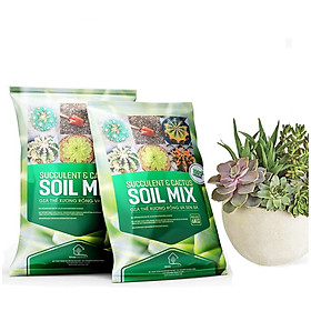 Bộ 2 Đất SOIL MIX- Trồng sen đá, xương rồng-Giúp kích thích ra rễ, giữ các chất dinh dưỡng cho cây-(6KG/1 gói)