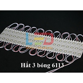 Led hắt 3 bóng 6113 dùng cho biển quảng cáo, trang trí ngoài trời 