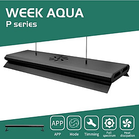 Đèn Week Aqua series P900 Pro wrgb uv - đèn thuỷ sinh đánh cá và cây lên màu đẹp