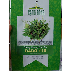 Mua Hạt giống cây hương nhu tía  đóng gói 1gr