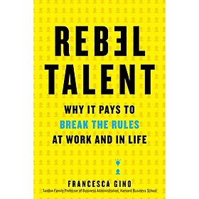 Rebel Talent  Why It Pays to Break the Rules at